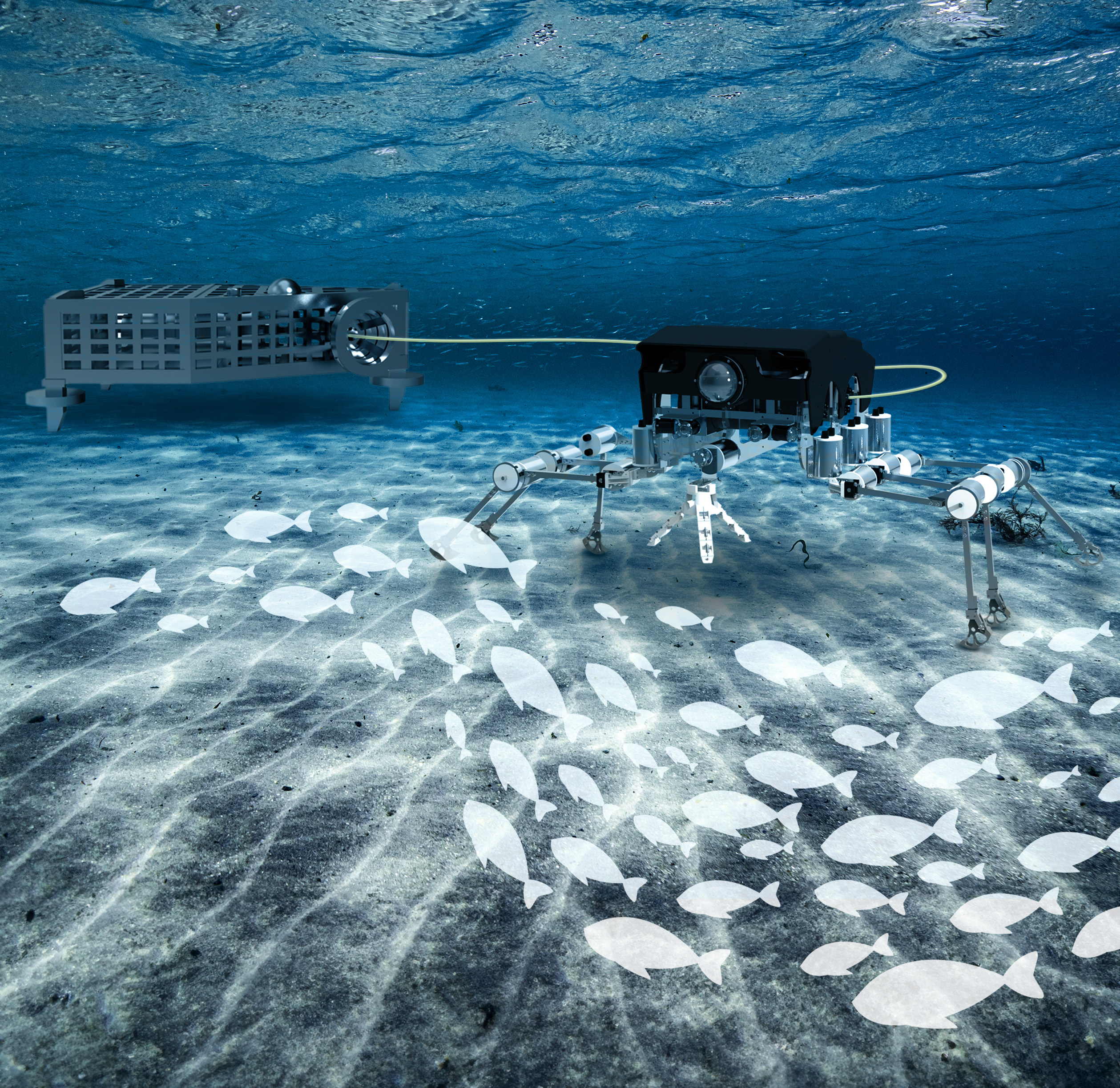 Silver - marine background - OB1 - 3
