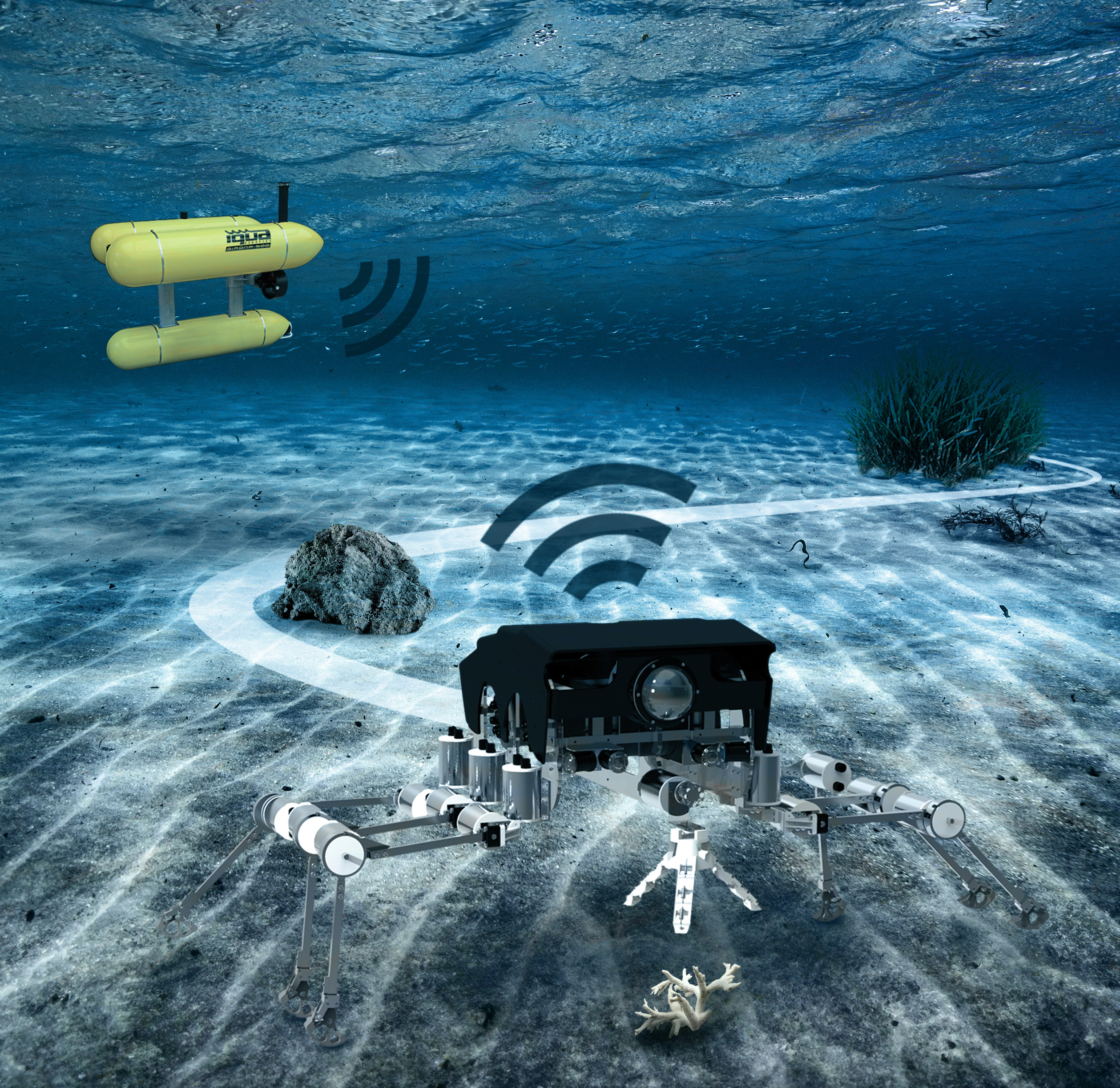 Silver - marine background - OB2 - 3