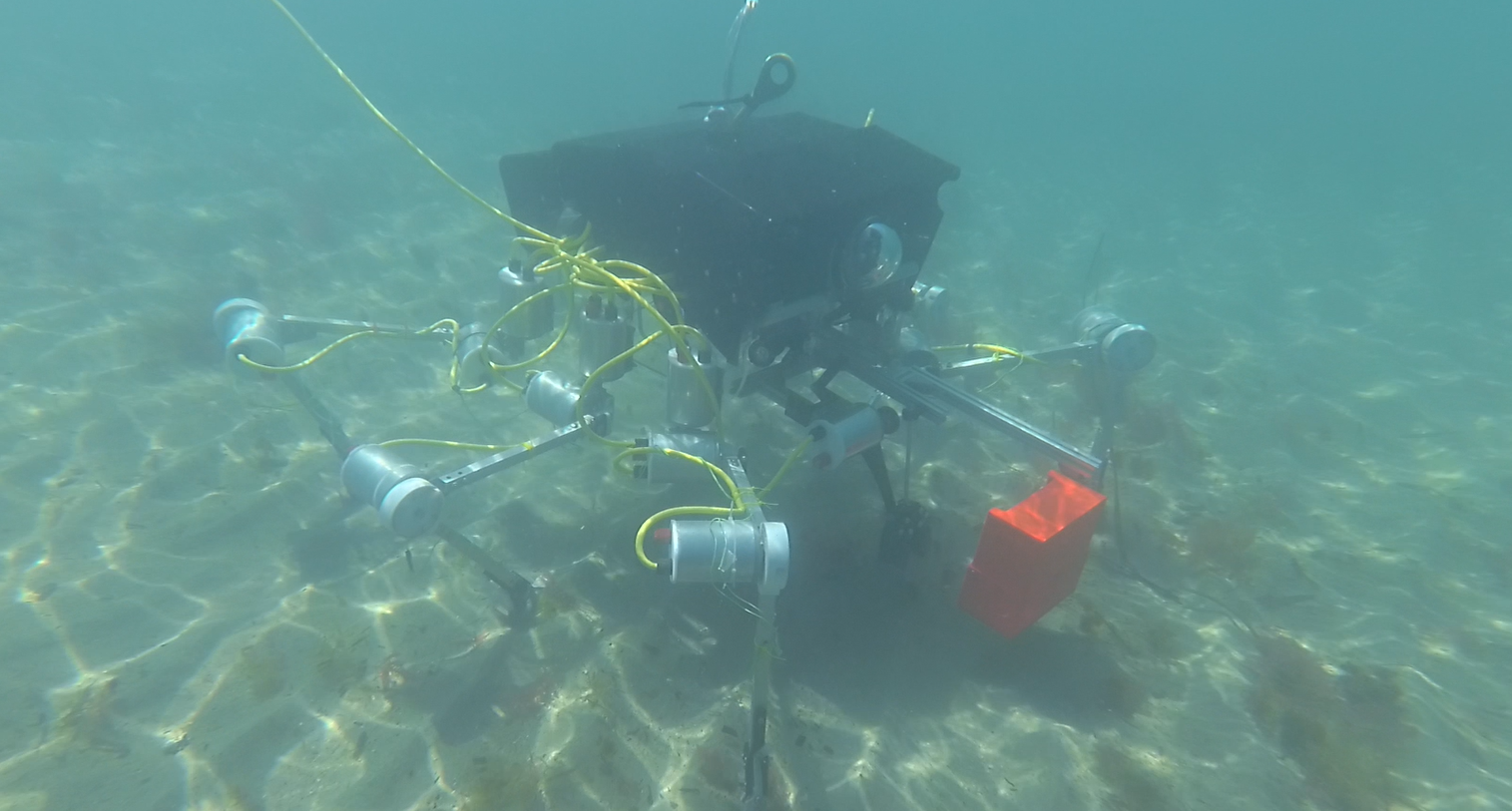 scoglio_sampling
